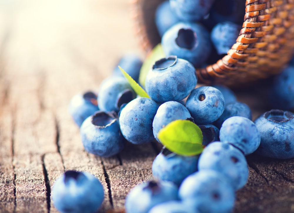 Sour Blueberry Gummies Recipe